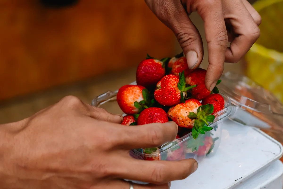 Manos pesando fresas en una báscula