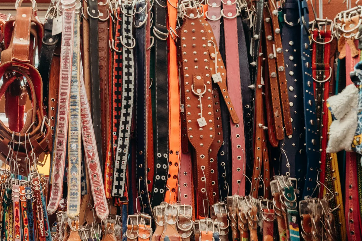 Filas de collares y arneses para perro, de cuero y tejidos, a la venta en un puesto de artículos para mascotas